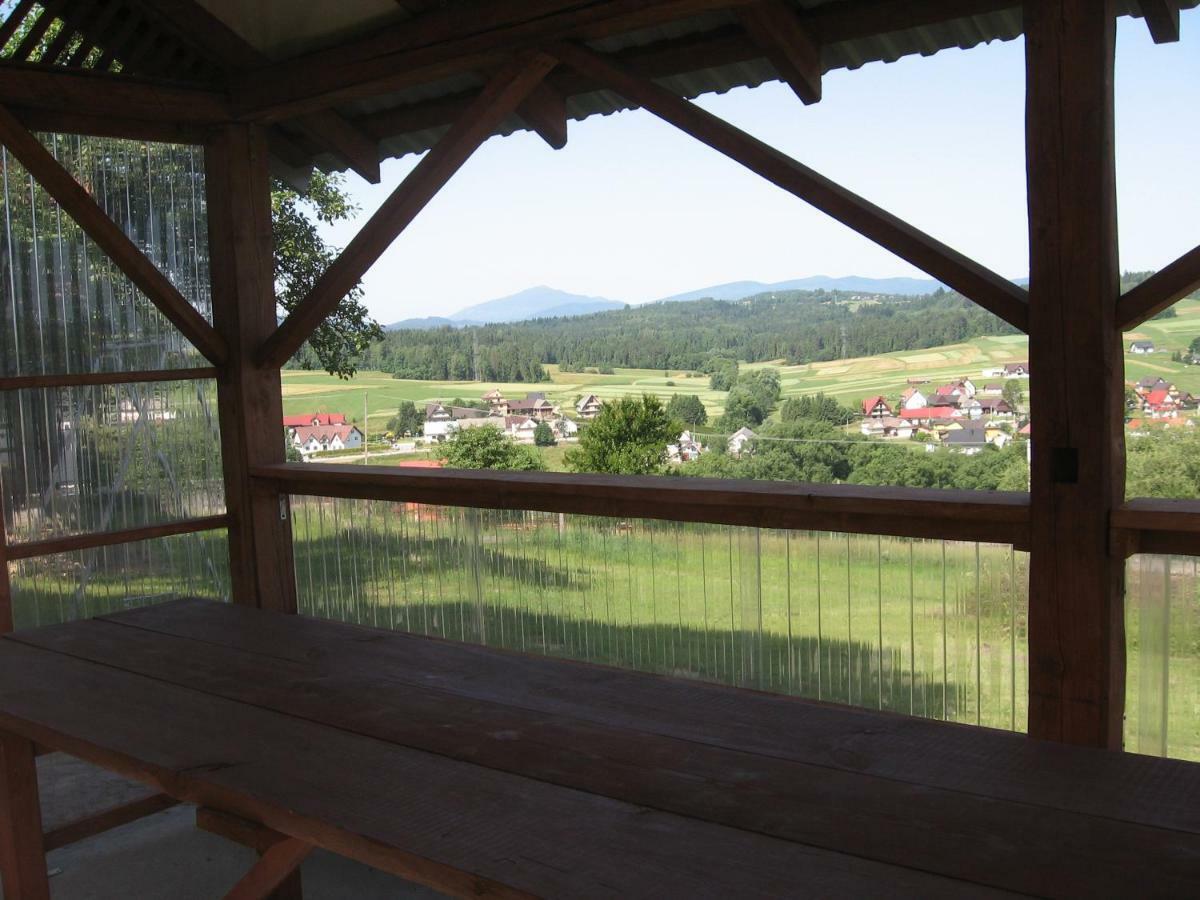 Handzlowka Farm stay *